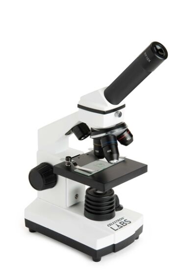 Celestron Labs CM800 Bileşik Mikroskop - 2