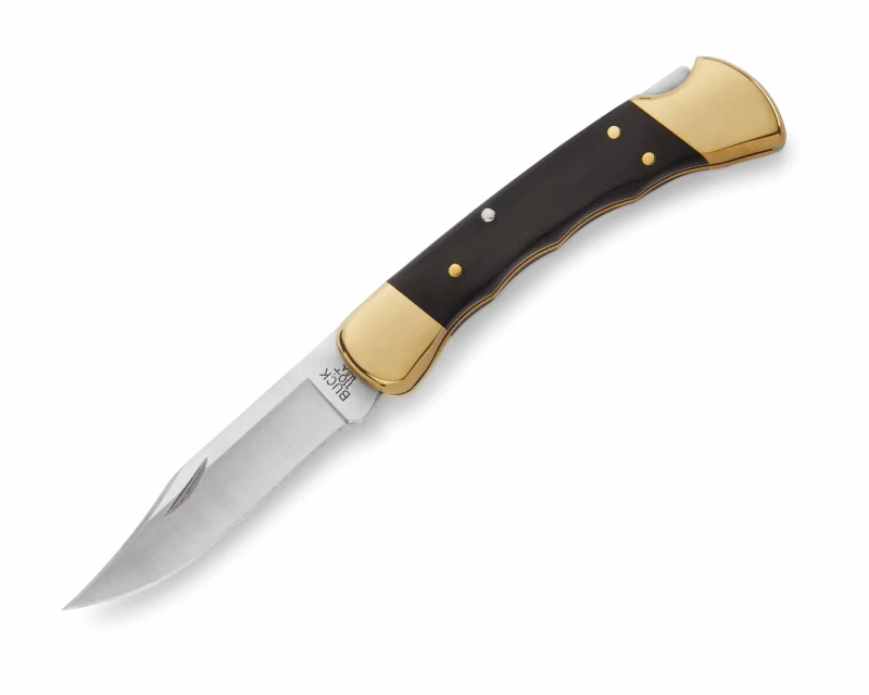 Buck 110 Folding Hunter Avcı Bıçağı - 1