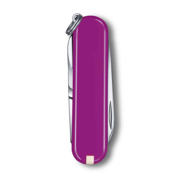 Victorinox 0.6223.52G Tasty Grape Classic Çakı - 3